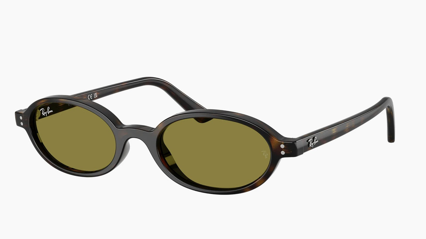 Ray-Ban