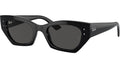 Ray-Ban