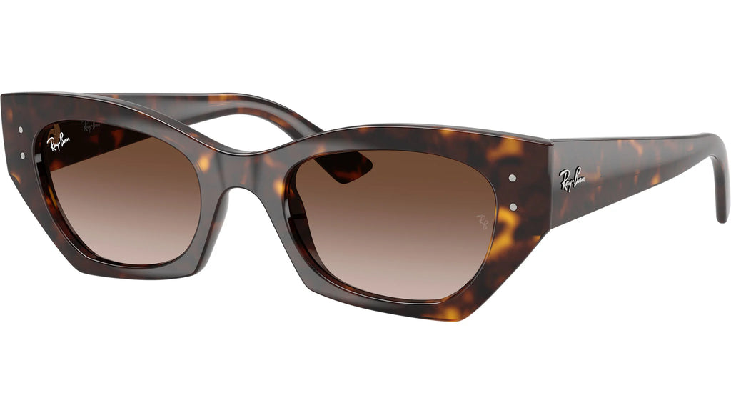 Ray-Ban